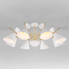 Потолочная люстра Eurosvet Apart 70114/8 белый, фото 