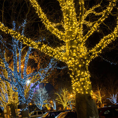 Гирлянда Eurosvet нить 20м IP65 400-102 белый, фото 