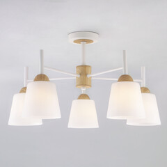 Потолочная люстра Eurosvet 70085/5 белый, фото 