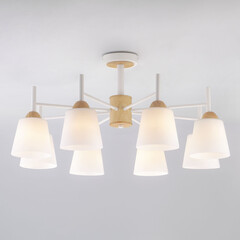 Потолочная люстра Eurosvet 70085/8 белый, фото 