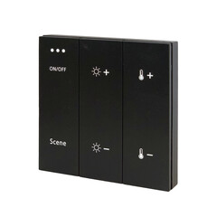 ST015.400.99 Панель управления трековой системой SKYLINE 220 ST-Luce Черный SKYLINE 220, фото 