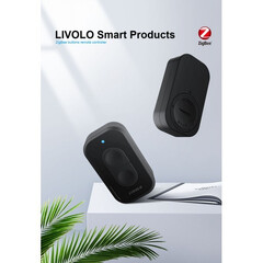 VL-XR005 Двухклавишная кнопка управления ZigBee, фото 