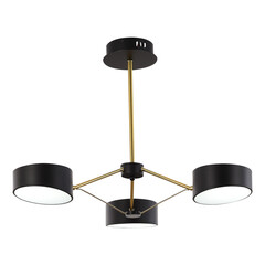 SLE6005-402-03 Светильник потолочный Черный, Золотистый/Черный LED 3*10W VALLE, фото 