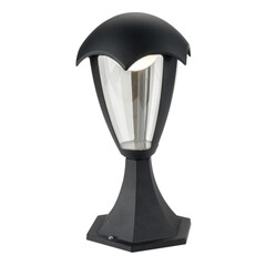 Светильник ARTE LAMP HENRY A1661FN-1BK, фото 