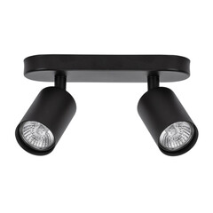 Светильник ARTE LAMP AQUARIUS A3226PL-2BK, фото 