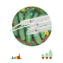 Модульный светильник для растений ЭРА FITO-3х10W-LINE-Ra90 полного спектра 30 Вт, фото 