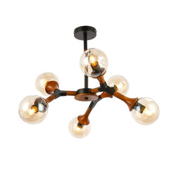 Потолочная люстра Evoluce Raquel SLE109402-06, фото 