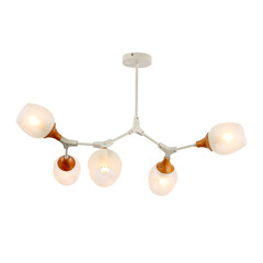 Потолочная люстра Evoluce Ciotolla SLE113502-05, фото 