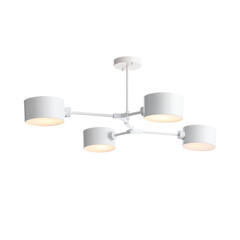 Потолочная люстра Evoluce Gimento SLE183502-04, фото 