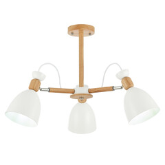 Потолочная люстра Evoluce Balcamo SLE103802-03, фото 