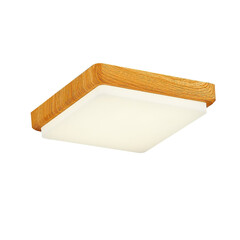 Потолочный светодиодный светильник Evoluce Taddio SLE200202-01, фото 