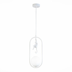 Подвесной светильник Evoluce Tenato SLE115123-01, фото 