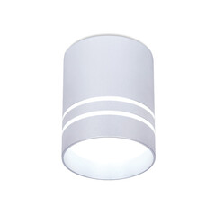 Накладной светодиодный точечный светильник TN241 SL/S серебро/песок LED 4200K 12W D80*100, фото 