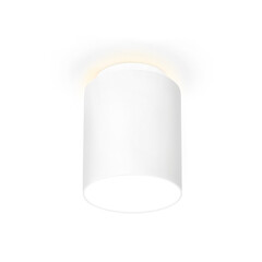 Накладной светодиодный точечный светильник TN261 WH/S белый/песок LED 4200K 10W D100*100, фото 