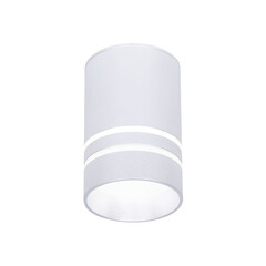 Накладной светодиодный точечный светильник TN236 SL/S серебро/песок LED 4200K 5W D60*100, фото 