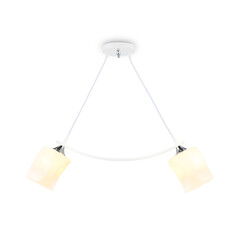 Светильник подвесной TR303154/2 WH/CH/FR белый/хром/белый матовый E27/2 max 40W 640*115*410, фото 