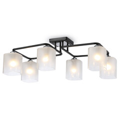 Светильник потолочный TR303224/6 BK/CH/FR черный/хром/белый матовый E27*6 max 60W 615*390*220, фото 