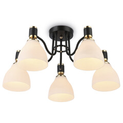 Светильник потолочный TR303307/5 BK/GD/FR черный/золото/белый матовый E27*5 max 60W D600*270, фото 