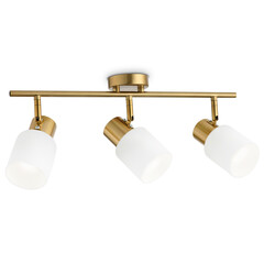 Настенно-потолочный спот TR3972/3 BS/FR латунь/белый матовый  E27*3 max 40W 460*80*140, фото 