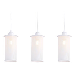 Подвесной светильник в стиле лофт TR8163/3 WH белый E27*3 max 40W 580*102*1060, фото 