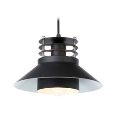 Подвесной светильник в стиле лофт TR8172 BK черный E27 max 40W D203*940, фото 