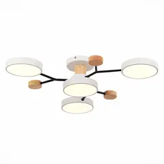 SLE6006-502-04 Светильник потолочный Белый/Белый LED 4*12W 3000K/4500K/6000K FAEMA, фото 