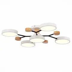 SLE6006-502-05 Светильник потолочный Белый/Белый LED 5*12W 3000K/4500K/6000K FAEMA, фото 