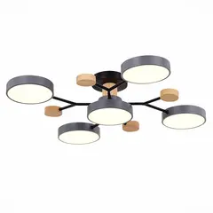 SLE6006-702-05 Светильник потолочный Серый/Серый LED 5*12W 3000K/4500K/6000K FAEMA, фото 