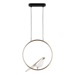 Светильник подвесной Aployt Astor APL.822.06.10, фото 