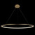 Подвесной светодиодный светильник Loft IT Ring 10014XXL, фото , изображение 4