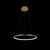 Подвесной светодиодный светильник Loft IT Ring 10014M, фото , изображение 4