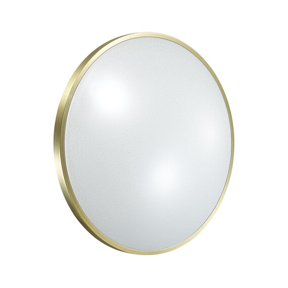 Настенно-потолочный светодиодный светильник Sonex Lota Bronze 2089/DL, фото 