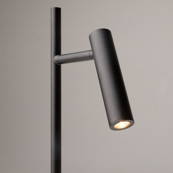 Настольный светильник Maytoni Z010TL-L8B3K, фото , изображение 4