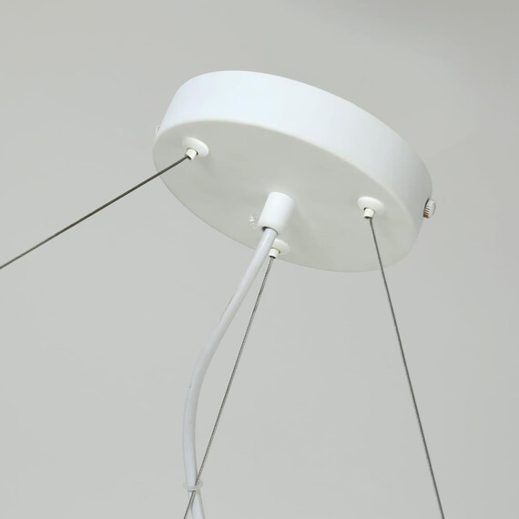 Подвесная люстра Favourite Vogel 1705-6P, фото , изображение 4