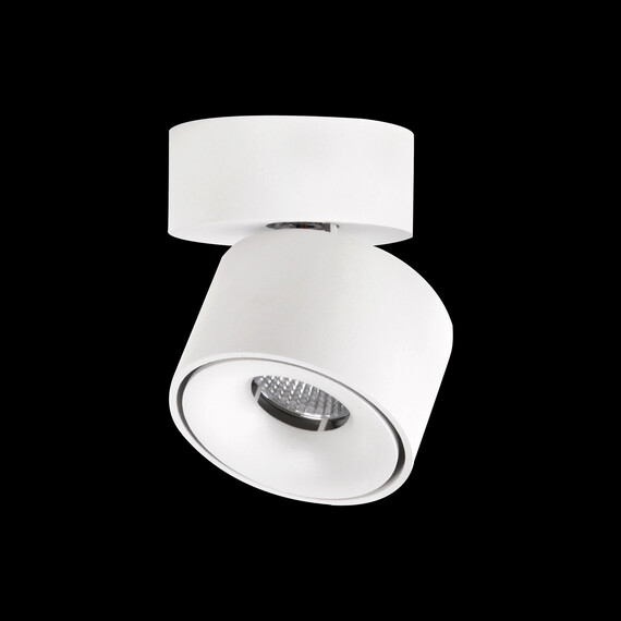 Светильник накладной CITILUX Стамп CL558010N, фото 