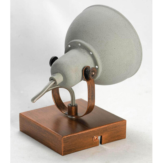 Спот Lussole Loft Diana GRLSP-9828, фото , изображение 3