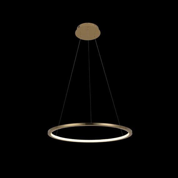 Подвесной светодиодный светильник Loft IT Ring 10014M, фото , изображение 4