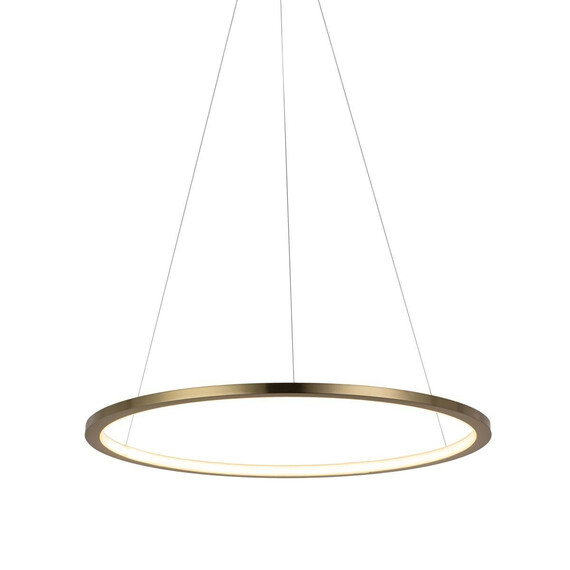 Подвесной светодиодный светильник Loft IT Ring 10014M, фото , изображение 2