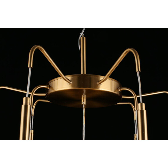 Подвесная светодионая люстра Aployt Carla APL.010.03.80, фото , изображение 3