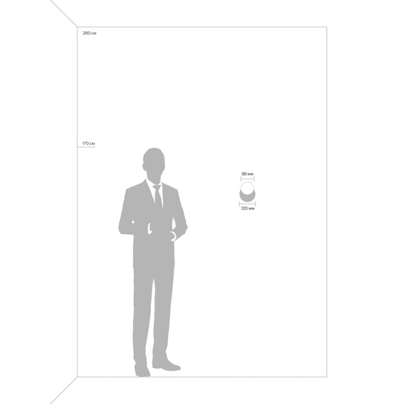 Спот Freya FR10010CW-L6W, фото , изображение 5