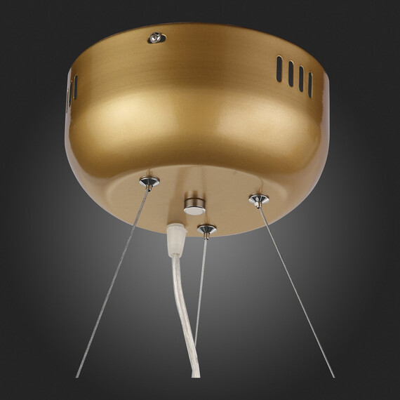 Подвесная люстра ST Luce Riccardo SL411.233.45, фото , изображение 15