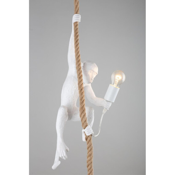 Светильник подвесной Aployt Magali APL.309.06.01, фото , изображение 5