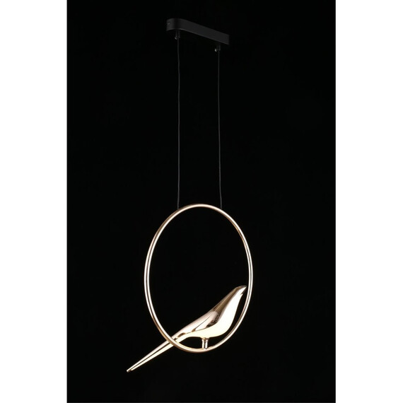 Светильник подвесной Aployt Astor APL.822.06.10, фото , изображение 9