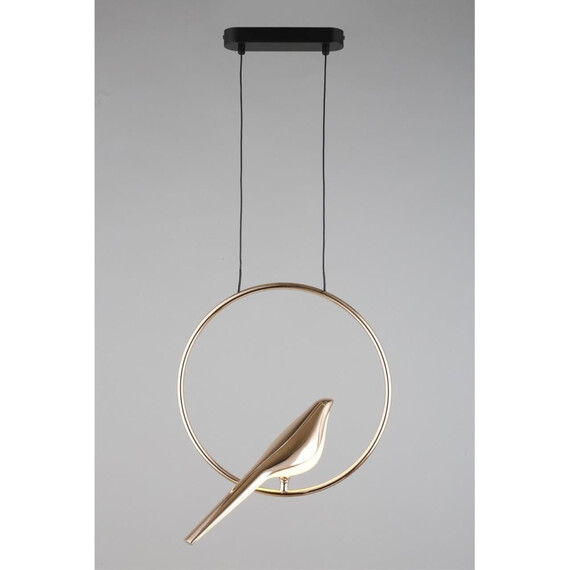 Светильник подвесной Aployt Astor APL.822.06.10, фото , изображение 5