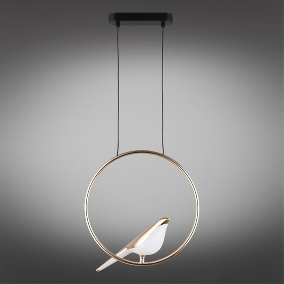 Светильник подвесной Aployt Astor APL.822.06.10, фото , изображение 2