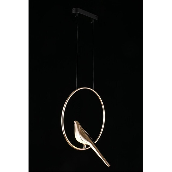 Светильник подвесной Aployt Astor APL.822.06.10, фото , изображение 10