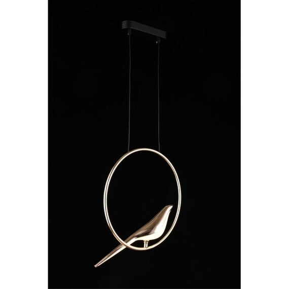 Светильник подвесной Aployt Astor APL.822.06.10, фото , изображение 11