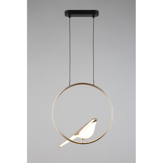 Светильник подвесной Aployt Astor APL.822.06.10, фото , изображение 3