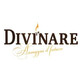 Divinare