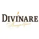 Divinare
